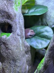 -酷嗒动物文化乐园(cutezoo西溪乐天城店)