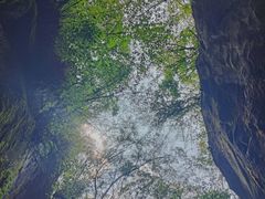 -秦岭终南山世界地质公园翠华山景区