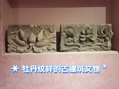 -曹州牡丹园