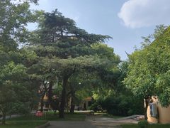 -吴兴寺