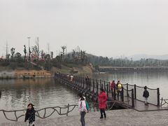 -枫香湖儿童公园