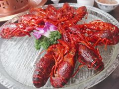 -京悦南门涮羊肉·羊蝎子火锅(田林路店)