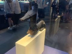 -浙江西湖美术馆