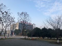 -中国药科大学（江宁校区）-图书馆