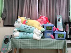 -学知乐教育·幼小衔接·小学科辅导(嘉定镇校区)