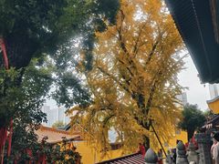 -宝通禅寺