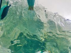 -珠海长隆海洋王国