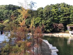 -广州市帽峰山景区