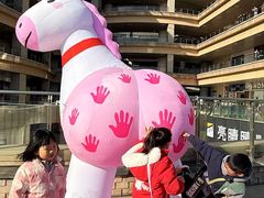 -中国丹阳眼镜城