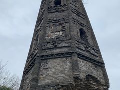 -上海佘山国家森林公园天马山园