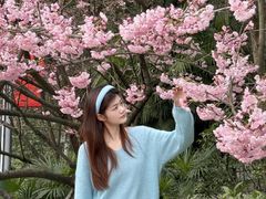 -南山植物园