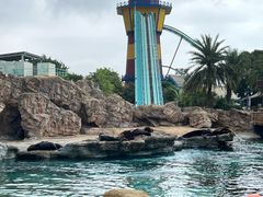 -珠海长隆海洋王国