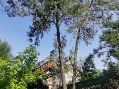 -迎泽公园