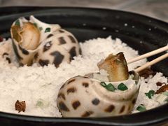 盐焗大花螺-吴记富苑(朝阳店)