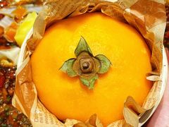 -聂发财重庆江湖菜(解放碑店)