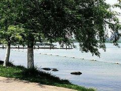 -天鹅湖体育公园