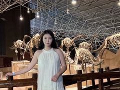 -世界恐龙谷景区