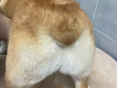-宠福鑫康馨动物医院·骨科·眼科