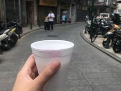 -洪馨椰子