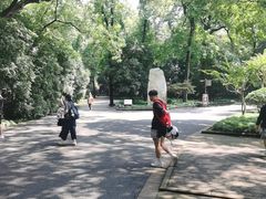 -灵谷景区