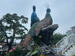 -丽泽山庄·生态怀柔菜·虹鳟鱼(红螺寺店)