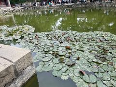 -恭王府博物馆