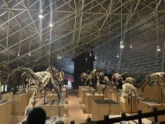 -世界恐龙谷景区