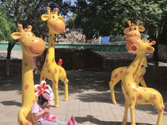 -保定市动物园