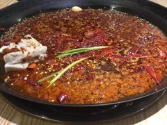 -肥龙火锅(南坪店)