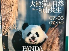 -龙湖重庆时代天街