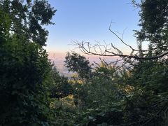 -紫金山山顶公园