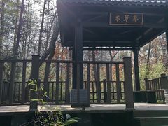 -句容茅山景区