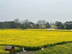 -中国天府农业博览园