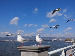 -海埂大坝