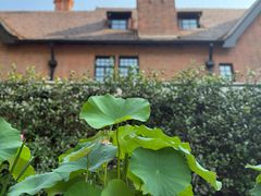 -一尺花园(安和花园店)