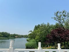 -大兴滨河森林公园