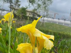 -上海植物园-4号门售票处