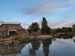 -鄂尔多斯野生动物园