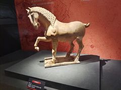 -中国江南水乡文化博物馆