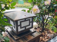 -随意茶庄·地道杭帮农家菜(梅家坞店)