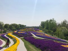 -南通洲际绿博园