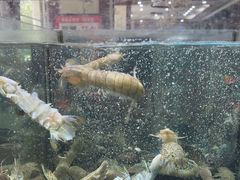-渔码头食府(蓬莱阁店)