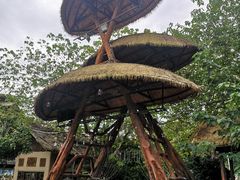 -海南槟榔谷黎苗文化旅游区