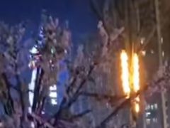 -汉江公园
