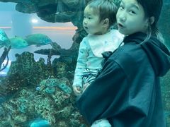 -乐从天佑城海洋馆