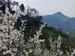 -樱桃山旅游景区