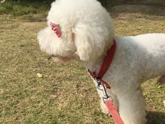 -钟山体育运动公园