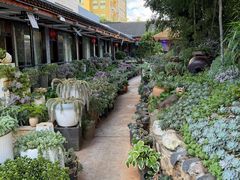 -山菌美食苑(振兴路店)