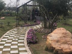 -芒洲湿地公园