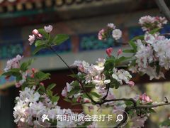 -颐和园